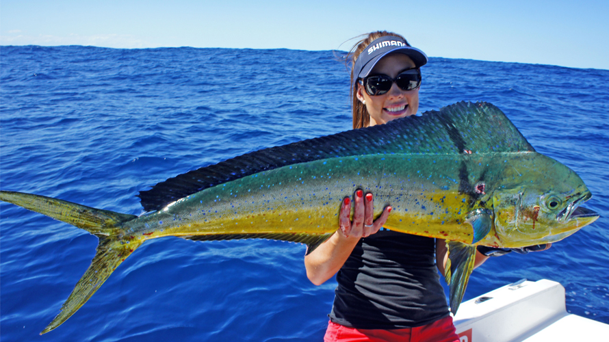 Mahi Mahi