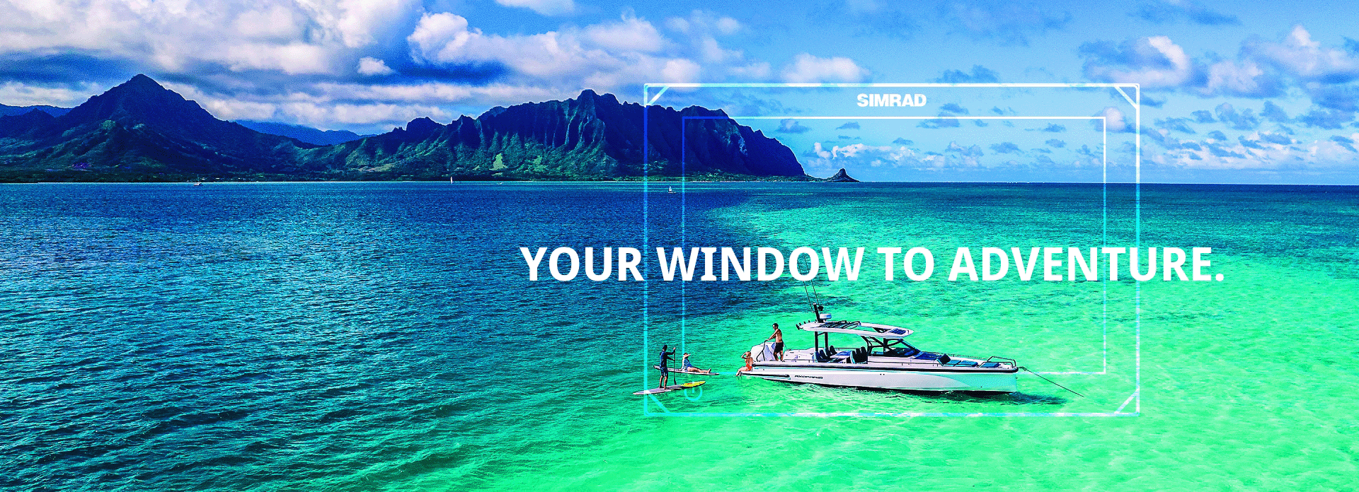 NSX-desktop - EMEA.png