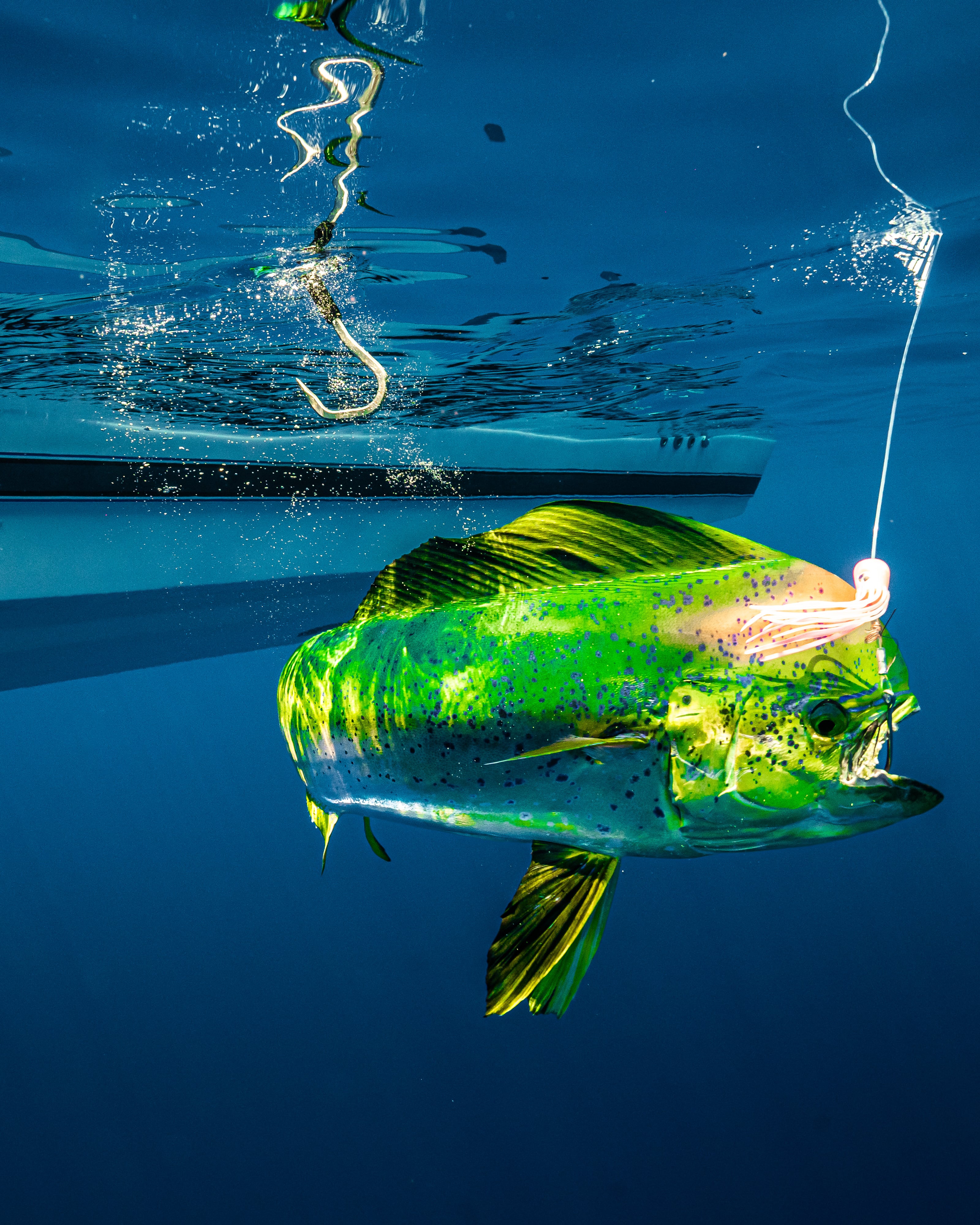 Simrad FishCast ROFFs Offshore Fishing Forecast.JPG