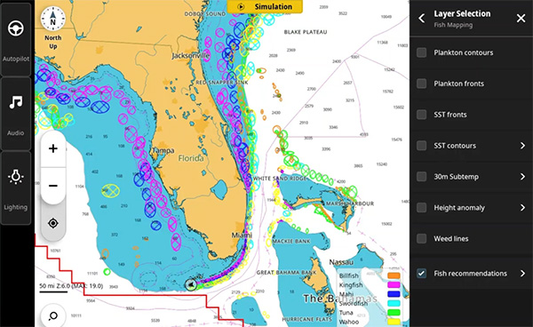 wm-4-fish-shoals.jpg