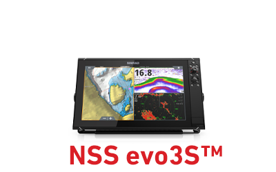 nss-evo3s-tm.png
