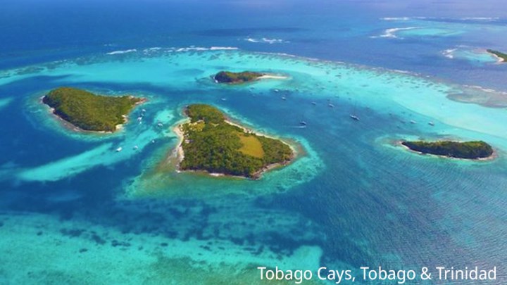 Tobago-Cays,-Tobago-&-Trinidad.jpg