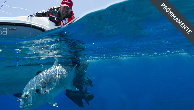 sustain-george-daryl-es.jpg