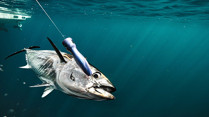 fish-lure-underwater-teaser.jpg